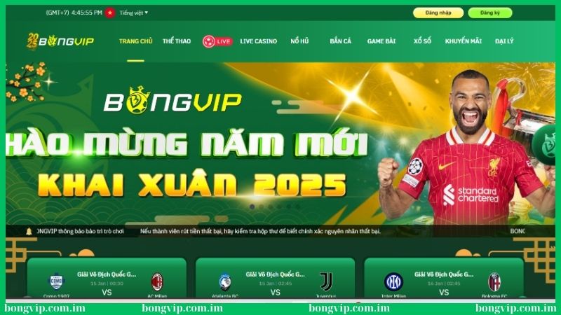 Bongvip Revolut - Link Nhà Cái Bóng Đá Online VIP 2025 41 Bongvip là thiên đường giải trí dẫn đầu xu hướng